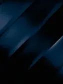 Exposing The CEO's Lies